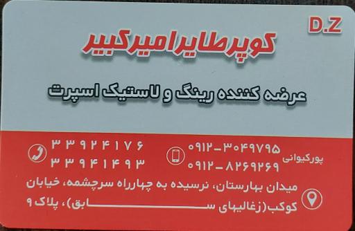 فروشگاه رینگ و لاستیک پورکیوانی 