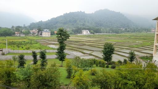 عکس کلاردشت