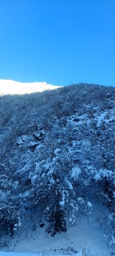 عکس کلاردشت