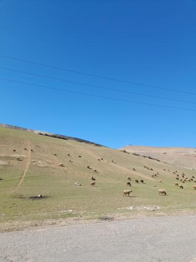 عکس کلاردشت