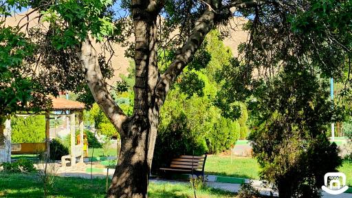عکس دانشگاه سمنان