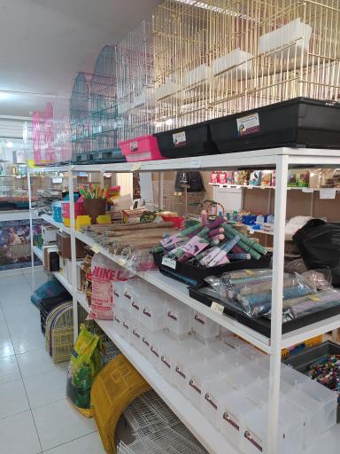 عکس فروشگاه لوازم پرنده بیزیم طوطی