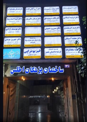 عکس دکتر نینا صدریه