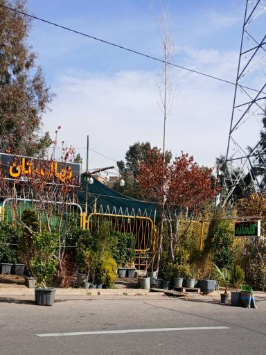 عکس گلخانه گلدشت ۲