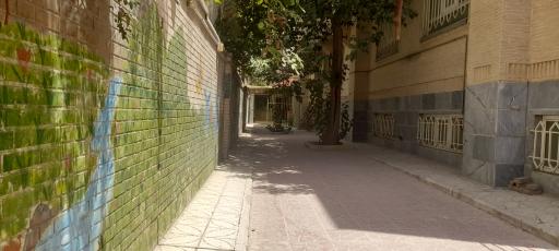 عکس سالن ورزشی تخصصی و قهرمانی ژیمناستیک شهید رضا هوریار