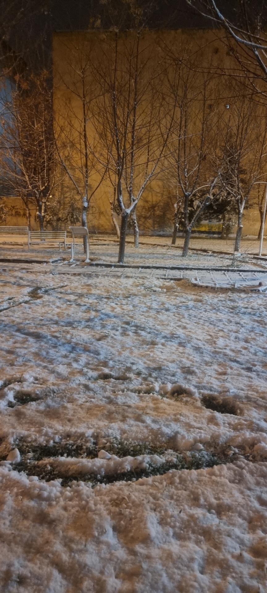 عکس پارک شکوفه