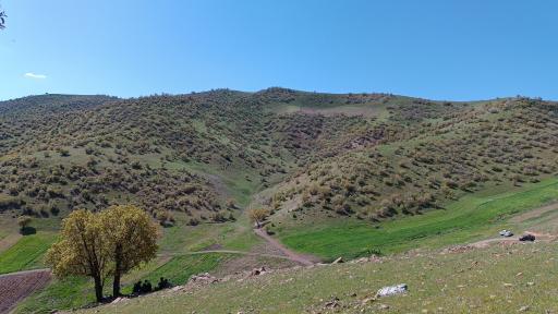 عکس نورآباد