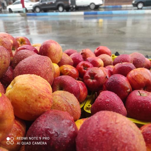 عکس میوه فروشی چهارفصل