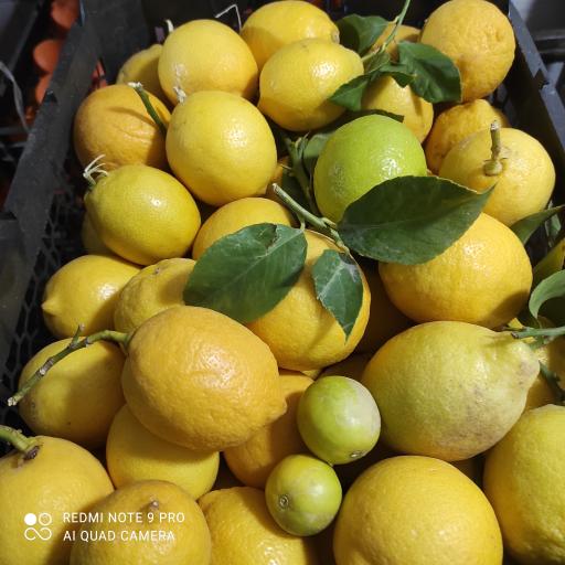 عکس میوه فروشی چهارفصل