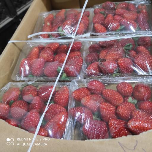 عکس میوه فروشی چهارفصل