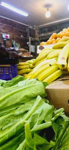 عکس میوه فروشی چهارفصل