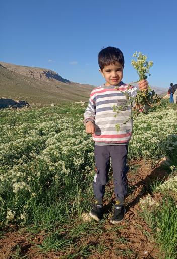 عکس نورآباد