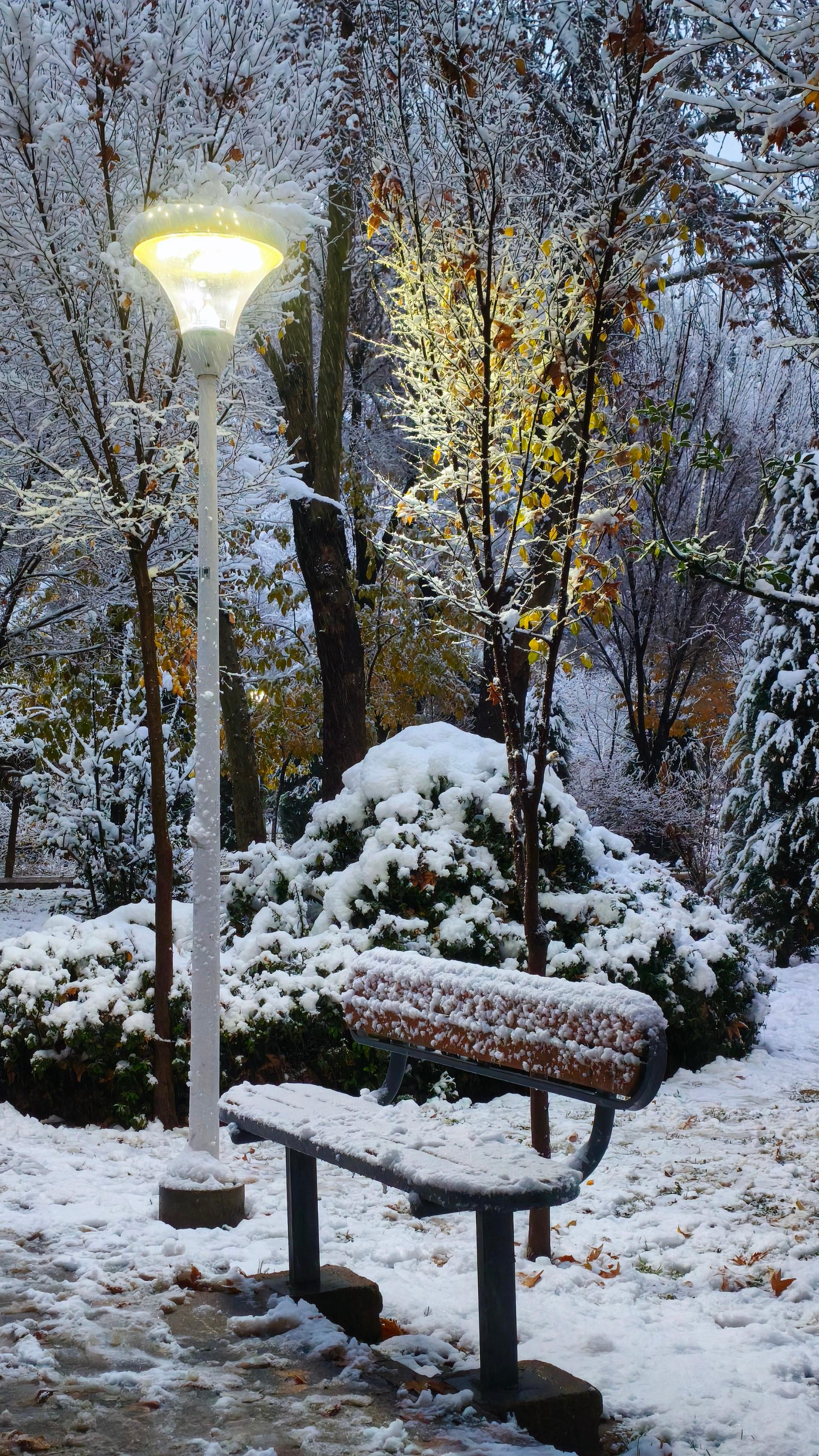 عکس پارک شهید رجایی