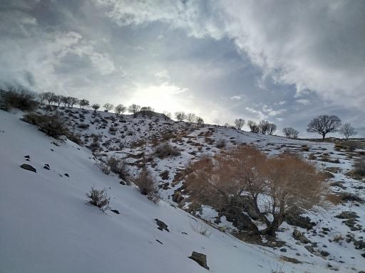 عکس نورآباد