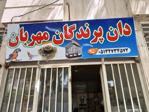 عکس دان پرندگان مهربان