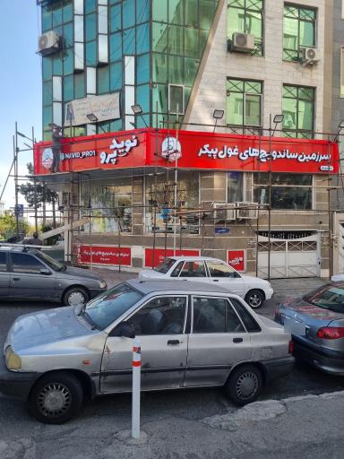 عکس نوید پرو