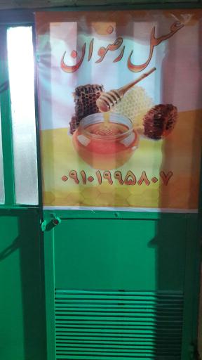 عکس عسل رضوان