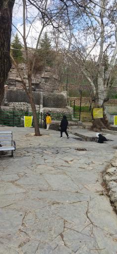 عکس چشمه اعلا