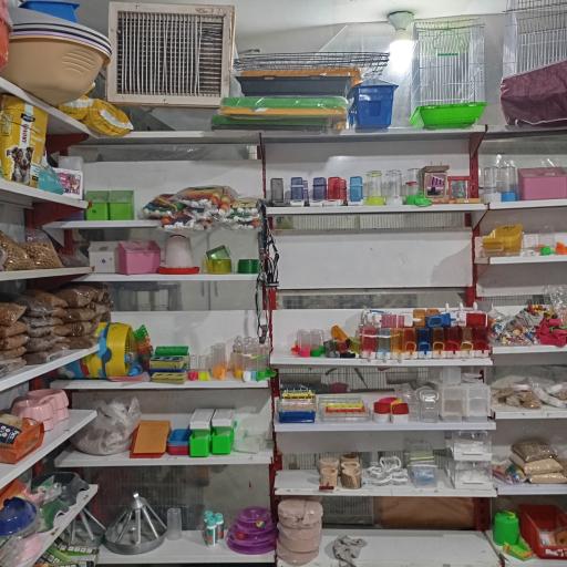 عکس پت شاپ هامون