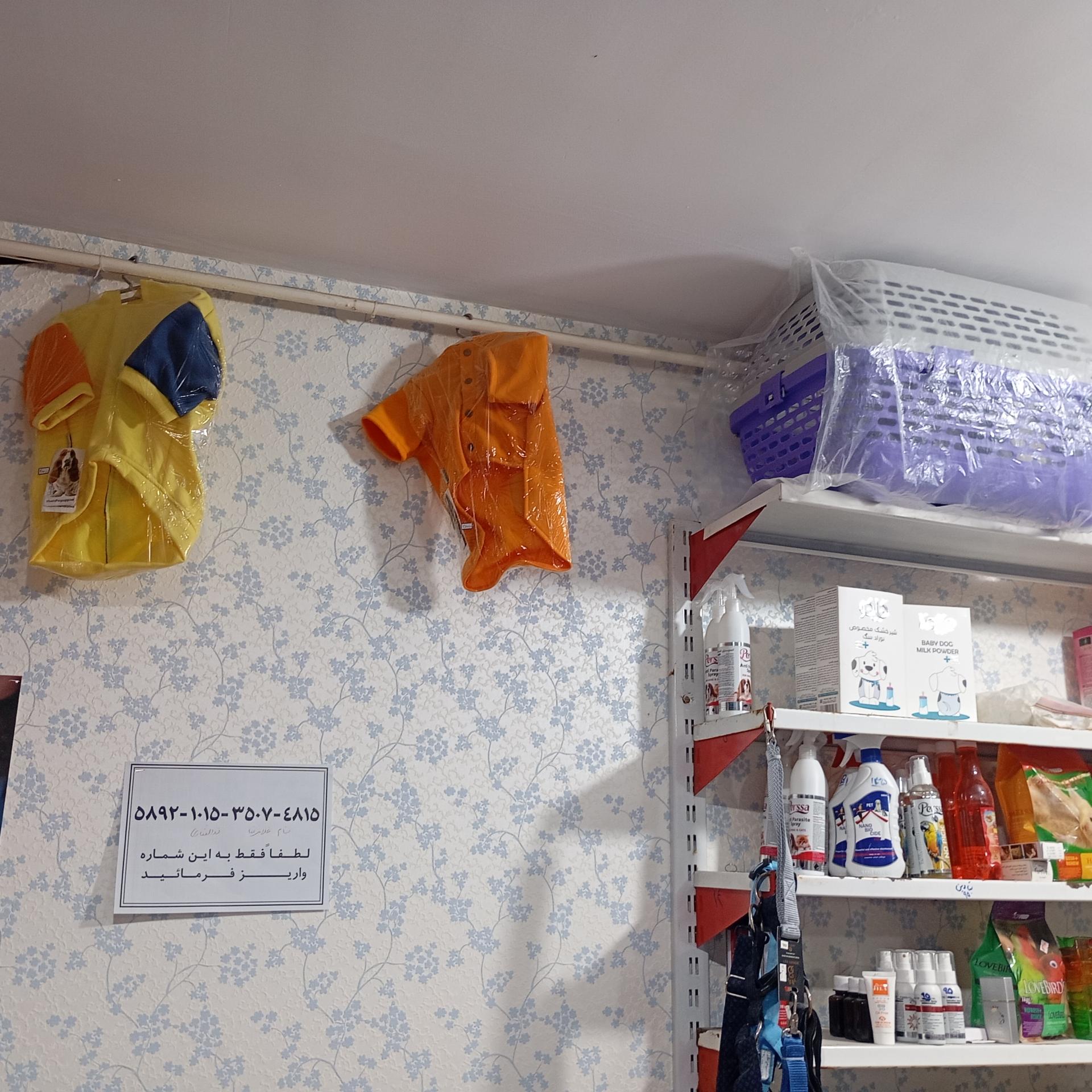 عکس پت شاپ هامون