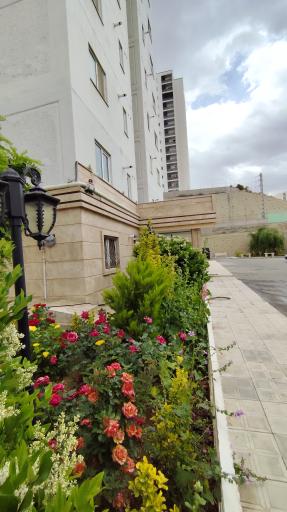 عکس بلوک ۱۰۵ اقاقیا