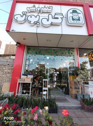 عکس گلفروشی گل بوته