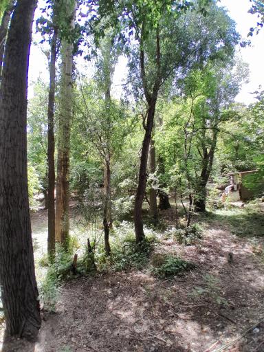 عکس چشمه اعلا