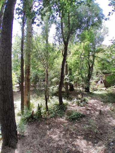 عکس چشمه اعلا