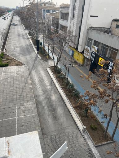 عکس زرزاد قهوه