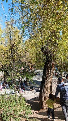 عکس چشمه اعلا