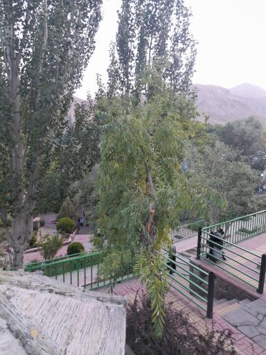عکس چشمه اعلا
