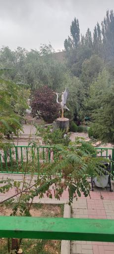 عکس چشمه اعلا