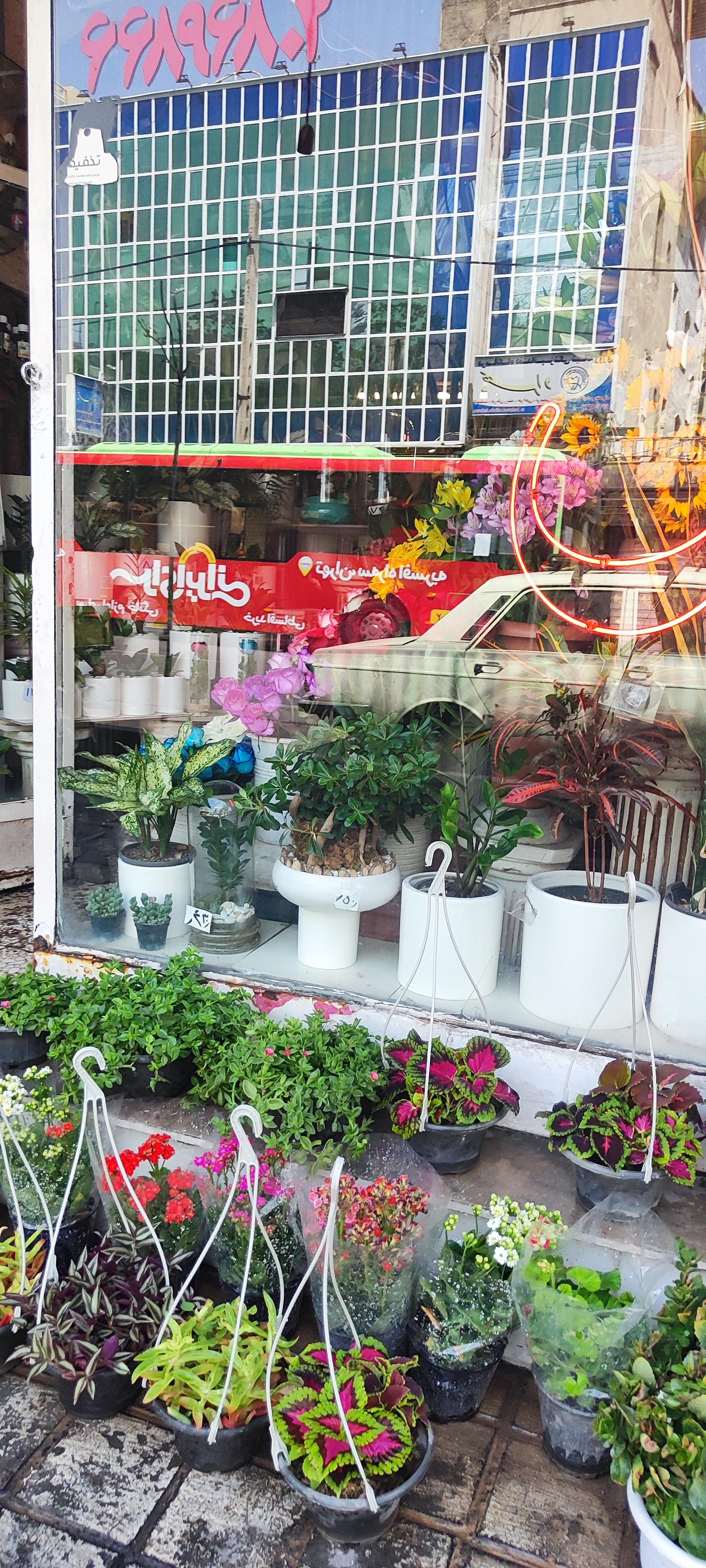 عکس گل فروشی سعدی