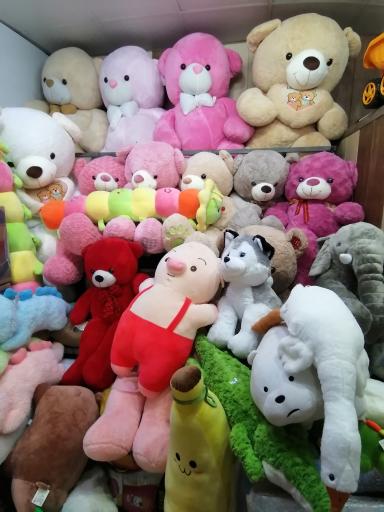 عکس فروشگاه پانی نیک