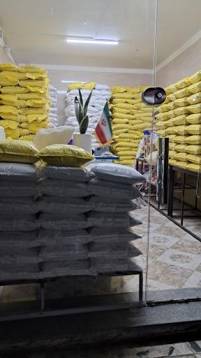 عکس برنج عنبربو برادران رضایی