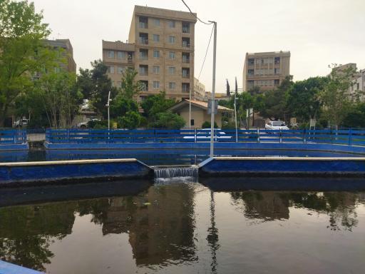 عکس بوستان کاج