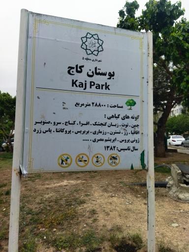 عکس بوستان کاج