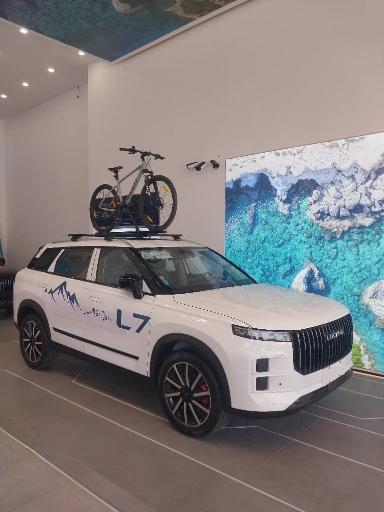 عکس نمایندگی لوکانو کد ۷۰۹ همتی