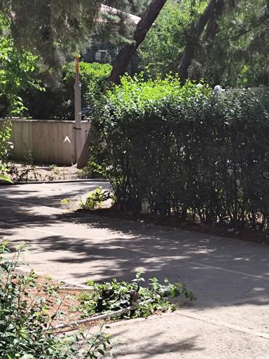 عکس دبستان دخترانه شهدای معلم منطقه 5