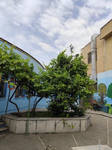 عکس دبستان دخترانه شهدای معلم منطقه 5