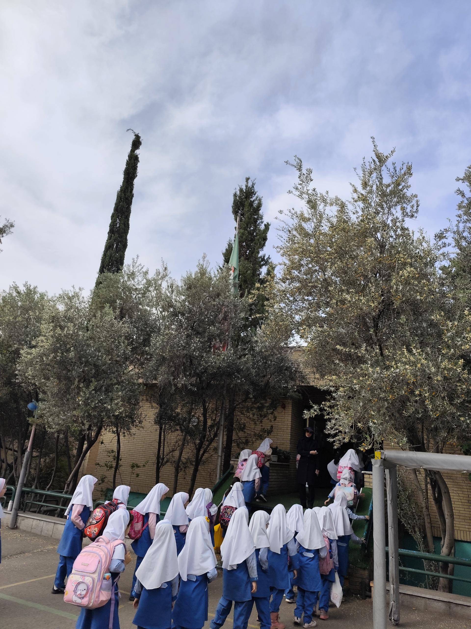 عکس دبستان دخترانه شهدای معلم منطقه 5