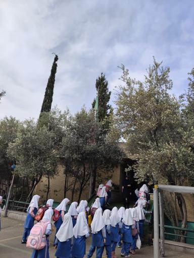 عکس دبستان دخترانه شهدای معلم منطقه 5