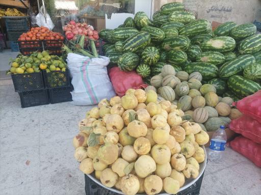 میوه فروشی ویتامین کده