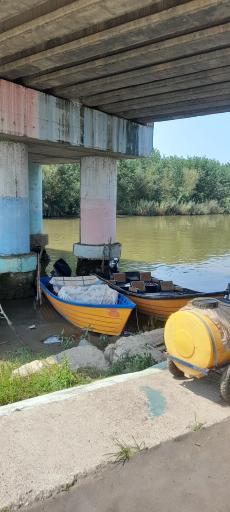 عکس اسکله قایق سواری قوی سپید نیزار