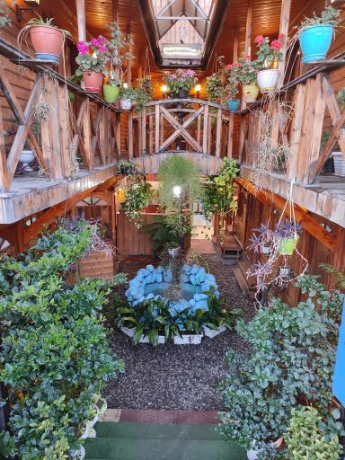 عکس رستوران و کافه شب خاطره ها