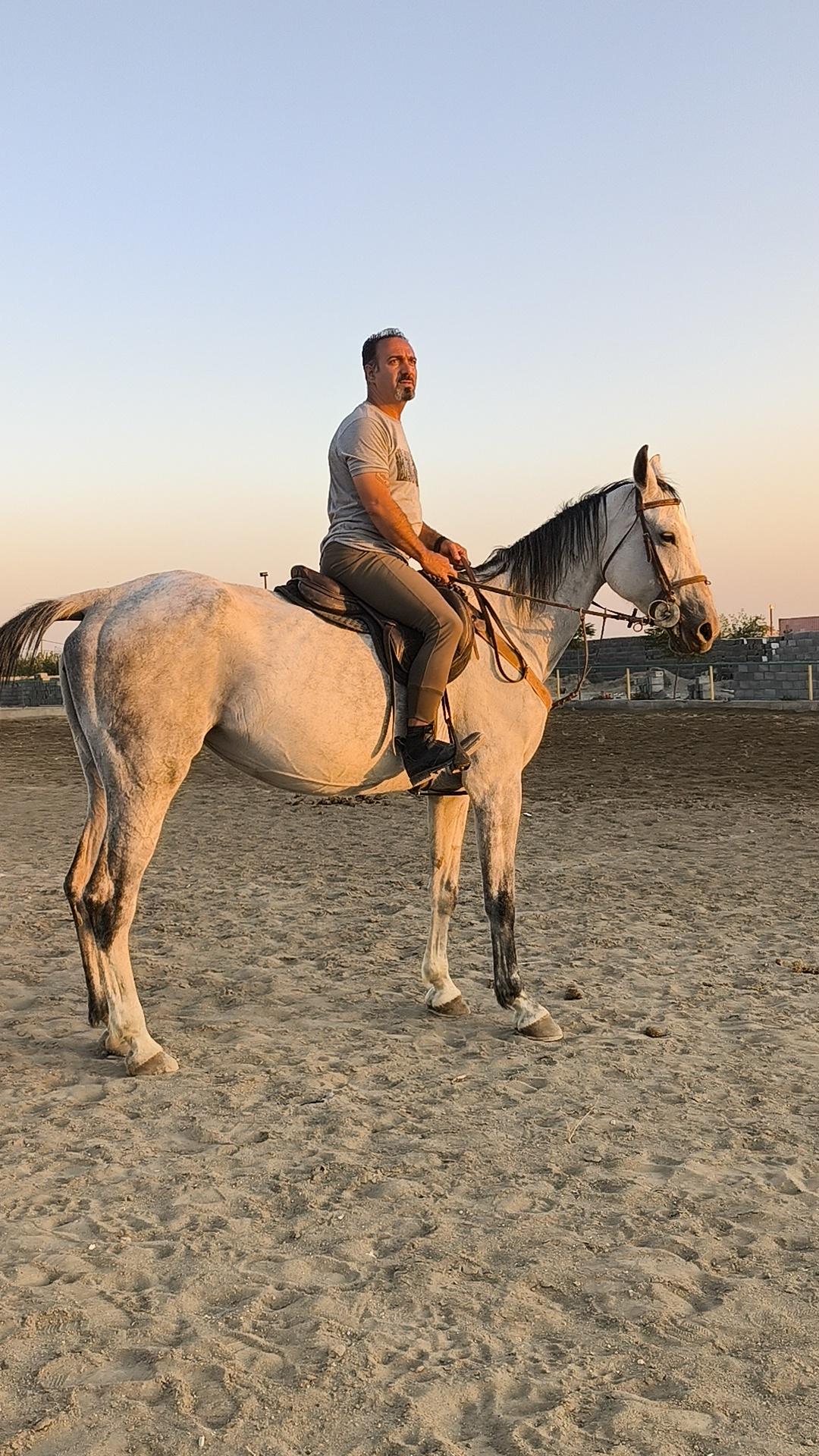 عکس مجموعه ورزشی زاگرس