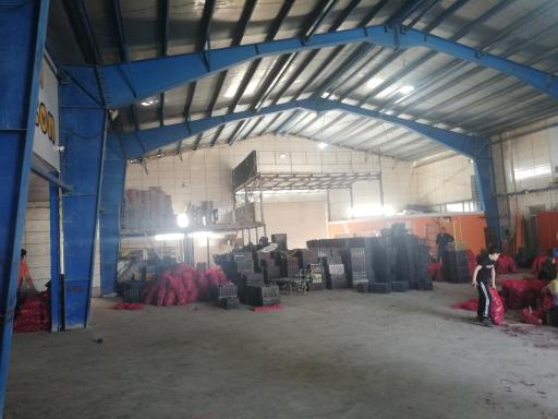 عکس سوله آمازون 