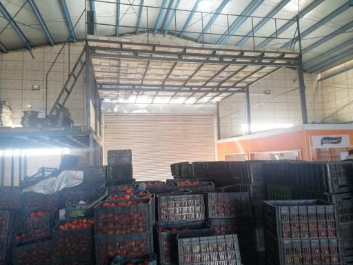 عکس سوله آمازون 