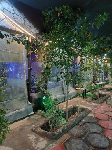 عکس سفره خانه شبستان