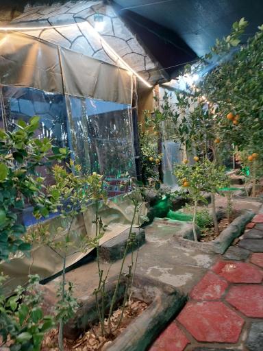 عکس سفره خانه شبستان